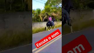 Escuta o som #viral#cavalo