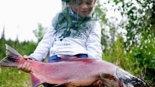 Sockeye & King Salmon, Rainbow Trout - Gulkana River Alaska - Lachse Angeln in Alaska