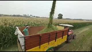 Punjab Agro Maize silage project Ladhowal Ludhiana