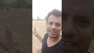 हम तो ऐसे तैसे काट रहे है आपका क्या हाल है। Soyaben Farming india