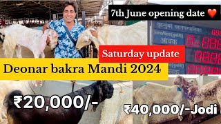 Deonar bakra Mandi latest update 2024 || SATURDAY LIVE UPDATE || 25/5/2024 || 🙏❤️