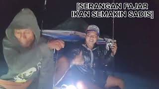 MANCING SAAT FAJAR IKAN MAKIN SADIS