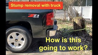 Chevy (STRONG) truck - tree stump removal