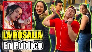 Lo mejor de (ROSALIA, BAD BUNNY , DADDY YANKEE,) 2019/ Parodia CANTO en PÚBLICO