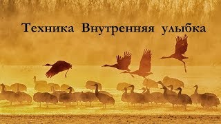 Техника Внутренняя улыбка