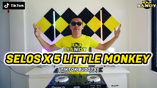 5 Little Monkey X Selos (TikTok Budots) | Dj Sandy Remix