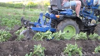 второе окучивание картофеля дисками / Mini tractor hilling potatoes