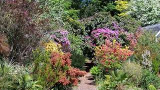 Trevarno Gardens - Cornwall