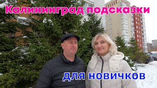 Калининград. Подсказки для новичков