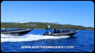 Traffic jam in Northern Norway - it`s a different story - To be continued..