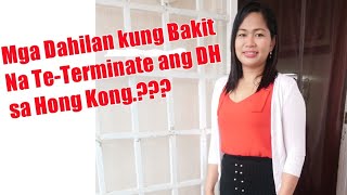 Mga Dahilan kung BAKIT na te-TERMINATE ang DH sa HINGKONG| TERMINATION OF CONTRACT