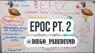 EPOC 2: Bronquitis Crónica  🫁 -  Fisiopatología