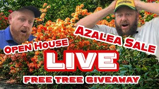 MrMaple.com Azalea Sale | Open House | Free Tree Giveaway | Flash Sale Friday