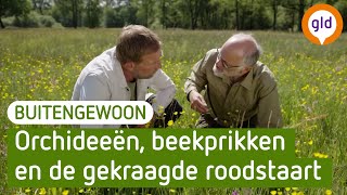 BuitenGewoon - Vier seizoenen in de natuur - Lente en zomer