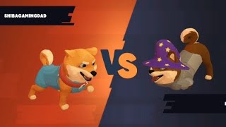 😍🤩Shiba Eternity🤩😍Red Belt Ranking Battle💪Sneakers vs Raz💪#shibaeternity #shibarmy #shiba #gaming