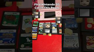 Nintendo DS Cat Finding Challenge