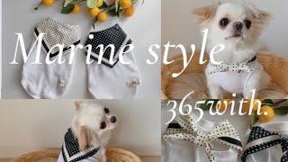 【夏の新作③】マリンタンクトップ🐬🏖365with.ハンドメイド犬服shop🐶【Marine style】