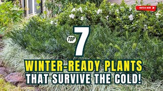 TOP 7 WINTER-READY PLANTS That SURVIVE the Cold! 🌺🌱❄️ // Gardening Ideas