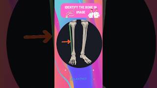 99% people fail to answer this anatomy bones quiz