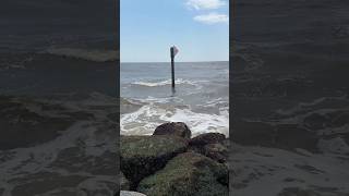 How to protect the Beach #manmade  #travel #heavywaves