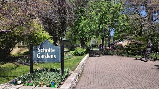 2024 Pella Tulip Festival | Scholte Gardens