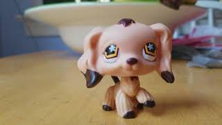 Lps you can't no