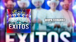 Grupo Fernandez - Los 3 Tipos (En Vivo)