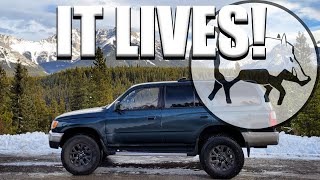 3rd Gen Toyota 4Runner Lives On! - Life After the Pink Milkshake Destroyed My Transmission🤠😁