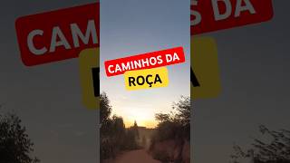 CAMINHOS DA ROÇA, Memórias de infância e de uma vida toda. #roça #sitio #shortshorts #short #shorts