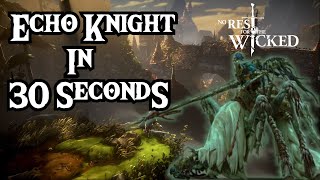 Echo knight under 30 seconds | mage / int build | No Rest For The Wicked