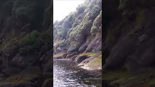 Exiting a cave. Stewart Island NZ