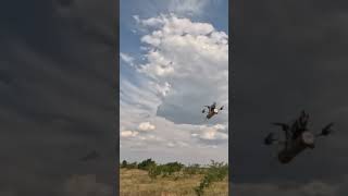 #trending Pinpoint destruction of enemy firing points by our FPV operators.