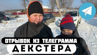 Отрывок из телеграмма // Декстер // ШКОЛЬНИКИ ИЗВИНЯЮТСЯ