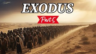 Freedom! (Exodus Series - Part 5)