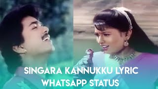 Singara kannukku lyric whatsapp status||Thalapathy vijay||Sriram sarvesh Edits