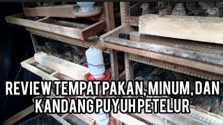 Review Tempat Pakan, Minum, dan Kandang Puyuh Petelur