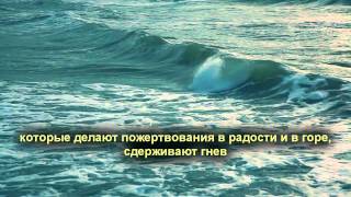 «Стремитесь к прощению вашего Господа и Раю...»