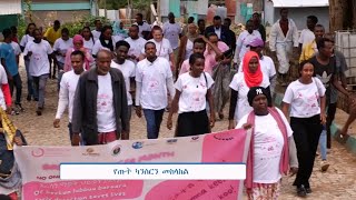 ሐረሪ ቴሌቪዥን ሐረሪ ሲናን ኸበር ... አያም 23/02/2017