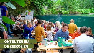 Nationaal Schoolontbijt bij de zeekoeien in de Mangrove 🥐