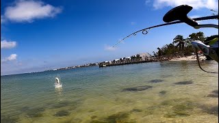 Sanibel Island Fishing “Never Ceases To Amaze”