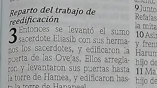 Nehemías 3-4 (Reparto del trabajo de reedificación) y Hebreos 13 (Deberes Cristianos) RVR1960