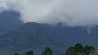 Suasana Desa di Desa Bahway di Bawah Kaki Gunung Pesagi Indah Sekali Banyak Perkebunan Sayuran