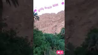 منظر  طبيعي خلاب  نواحي مدينة تنغيير مع اجمل اغنية بوطمعا (boutamaa).