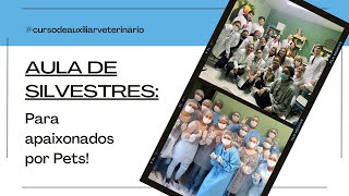 Curso de Auxiliar Veterinário - Módulo Silvestres