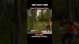 Anthony Barela Eagle Look, Northwood Park, Hole 14 #ABonFire #discgolf