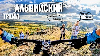 Трейл Альпийский | Нурали