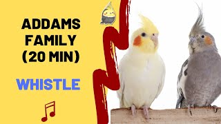 ADDAMS FAMILY WHISTLE - Cockatiel Singing Training - Bird Whistling Practice