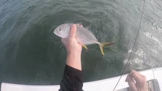 Windy day in Wabasso inshore fishing