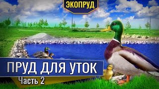 Пруд для уток с ручьём биоплато (часть2)