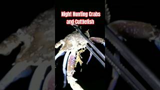 Night Hunting Crabs and Cuttlefish #shorts #short #shortvideo #shortsfeed #fypシ #viral #ofw